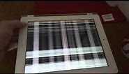 How to fix iPad grey screen problem: Check the description