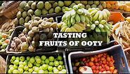 Tasting Different Fruits in Ooty (Things to Do in Ooty) Ooty Travel Guide in Kannada
