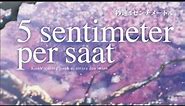 5 Centimeters Per Second (Eng Sub)