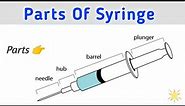 Parts of Syringe || Needle Parts || INJECTION PARTS NAME { Ms Medico }