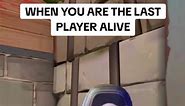 When You're the Last Player Alive: A Relatable Valorant Meme