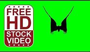 Free Stock Videos – animal silhouette bat flying on green screen seamless loop