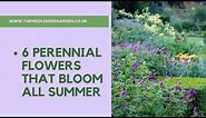 6 perennial flowers that bloom all summer - plus a bonus plant