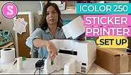 😍 iColor 250 Print and Cut Sticker Printer Setup (& CustomCUT Software)