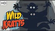 Wild Kratts - Spooky Creature Roundup 🎃 Halloween Howls and Growls
