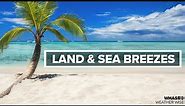 Land and sea breezes | Weather Wise Lessons