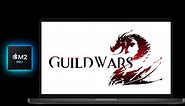 Guild Wars 2 on macOS