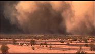 Nat Geo Wild - Sandstorm