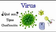 🦠 ¿Qué son los Virus? 🦠 Tipos y Clasificación 🦠 [Fácil y Rápido] | BIOLOGÍA |
