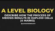 Guaranteed 4 Mark Meiosis Practice Question | A Level Biology