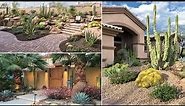 Top 40+ amazing front yard desert landscape ideas for your home