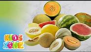 Types of melons in the world | Popular 40 Different melon varieties for kids | family Cucurbitaceae
