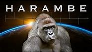 Harambe: The Unraveling of Humanity’s Timeline