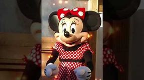 Minnie mouse mascot 2021