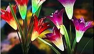 TONULAX Solar Garden Lights Outdoor - New Upgraded, Multi-Color Changing Lily Solar Lights for Patio,Yard Decoration, Bigger Flower and Wider Solar Panel (2 Pack,Purple and Red)