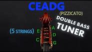 5 String Double Bass - CEADG Tuning (PIZZICATO) (Tuner)
