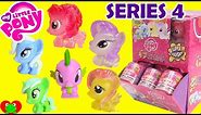 My Little Pony Fashems Series 4 Full Set Case 2016