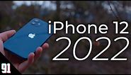 iPhone 12 in 2022 - worth buying? (Review)