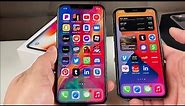 iPhone 11 Pro vs iPhone X Review: Everything You NEED To Know!