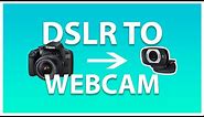 USE ANY CAMERA AS A WEBCAM (no camlink required)