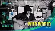Mr.Big - Wild World (ACOUSTIC COVER)