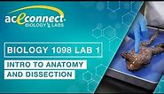Biology Lab || Intro to Anatomy and Dissection