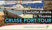 🇻🇮 What to do in Charlotte Amalie St. Thomas Cruise Port! - Crown Bay Cruise Port Review