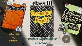 Consumer awareness project||class 10 economics project||Fun Arts With Me