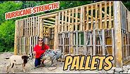 DIY Pallet Barn/Shed Build In 10 minutes Timelapse