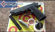 Reloading the CROSMAN 1911 Pistol - BBs and CO2 - Target Practice at 10 Yards