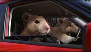 New 2010 Kia Soul Hamster Commercial - Music Fort Knox by GoldFish