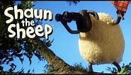 The Rounders Match - Shaun the Sheep
