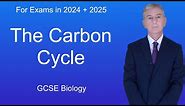 GCSE Biology Revision "The Carbon Cycle"