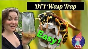 DIY Wasp Trap