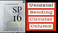 Circular Column with Uniaxial Bending with SP 16 | Design of Circular Column | Column Design