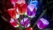 Solar Tulip Flower Lights
