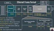 The Data Link Layer, MAC Addressing, and the Ethernet Frame