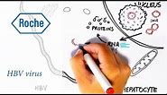 Drawn to Science | HBV virus | The little big enemy