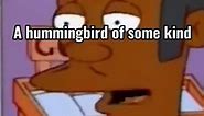 Apu (Simpsons meme