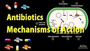 Antibiotics - Mechanisms of Action, Animation