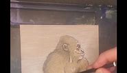 Silverback Gorilla At Peace Ink & Watercolor 5”x8” #gorillaart #gorilla #gorillas #greatape #gorillapainting #apeart #apedrawing #silverbackart | Shawn Ballard Art