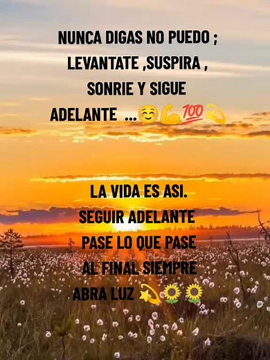 Sunset Over Dandelion Field: A Breathtaking View