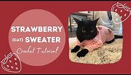 CROCHET CAT SWEATER | Tutorial for Sweater and Strawberry Applique