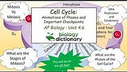 Cell Cycle: Animations of Phases and Important Checkpoints | AP Biology 4.6