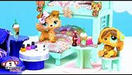 🐶 LPS Ebay Haul! REAL or FAKE LPS? Vintage Littlest Pet Shop and Cool LPS Accessories Toy Opening