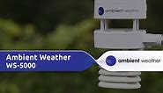 Ambient Weather WS-5000 | Ultrasonic Professional Smart Weather Station