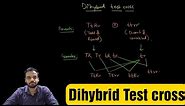 Dihybrid Test cross