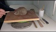 Pottery - creating a hedgehog from a hollow ball