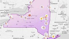 This interactive map highlights where flowers are blooming in New York