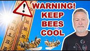 Beekeeping | Keep Your Bees Alive During This Killer Heat Wave